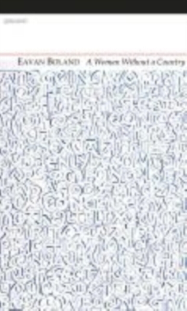 Kniha Woman without a Country