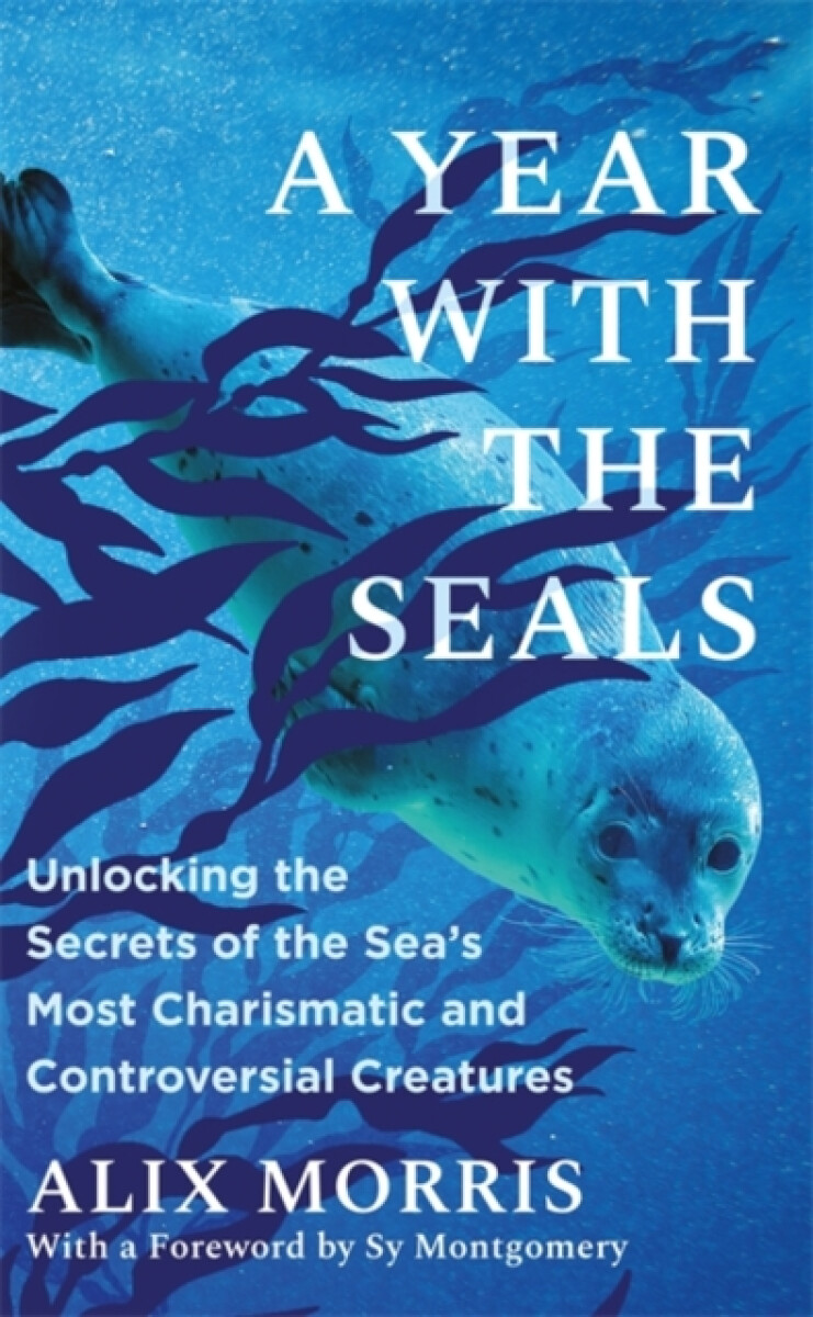 Kniha Year with the Seals