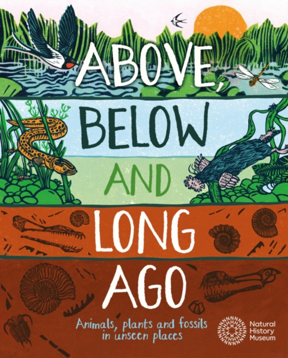 Kniha Above, Below and Long Ago