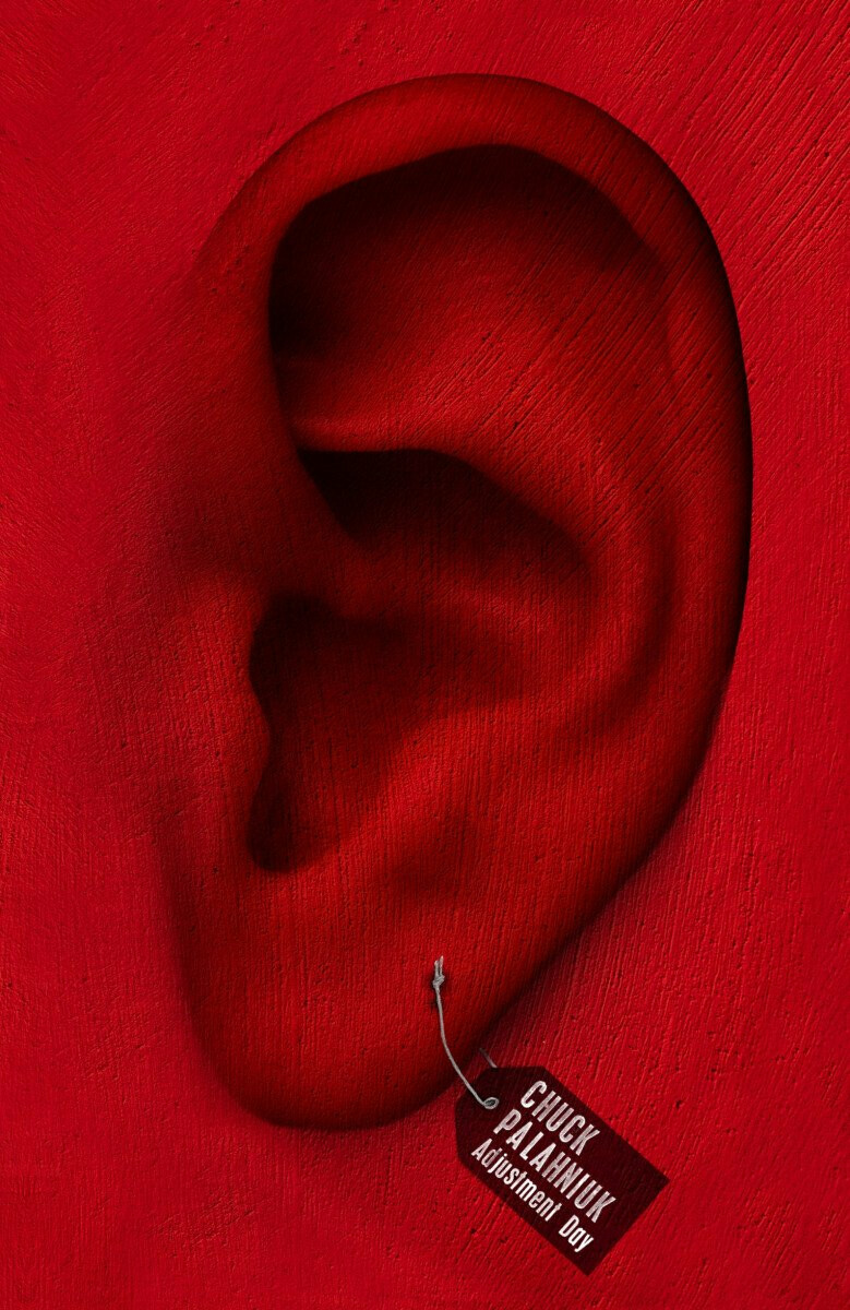 Kniha Adjustment Day