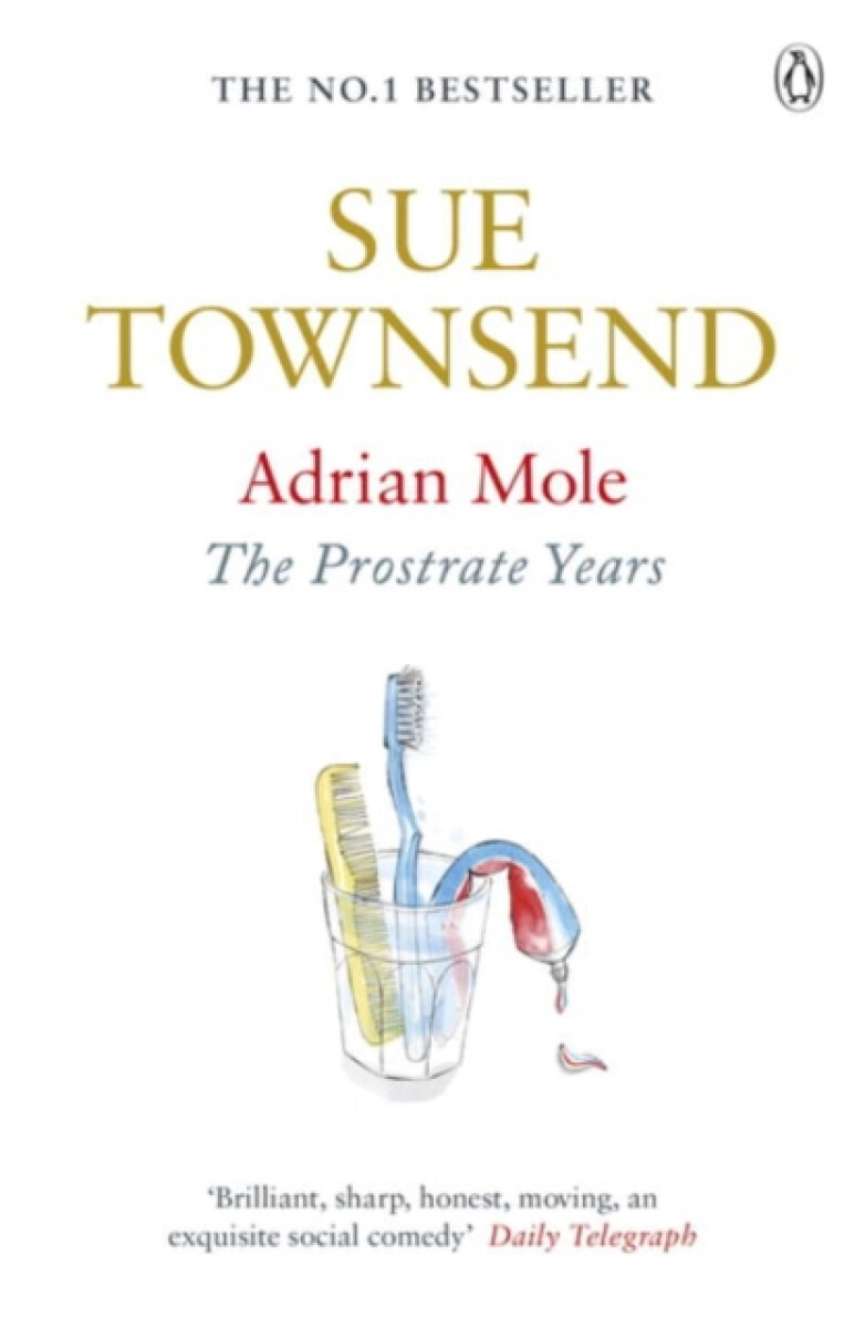 Kniha Adrian Mole: The Prostrate Years