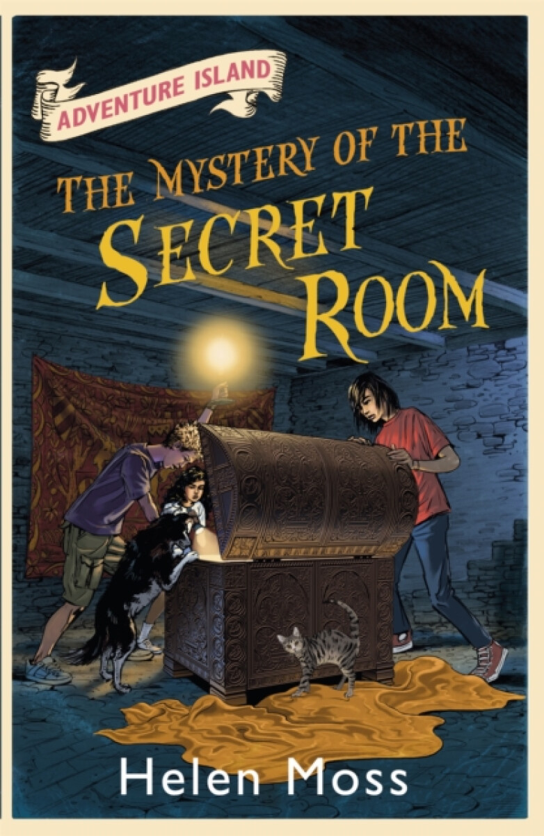 Kniha Adventure Island: The Mystery of the Secret Room