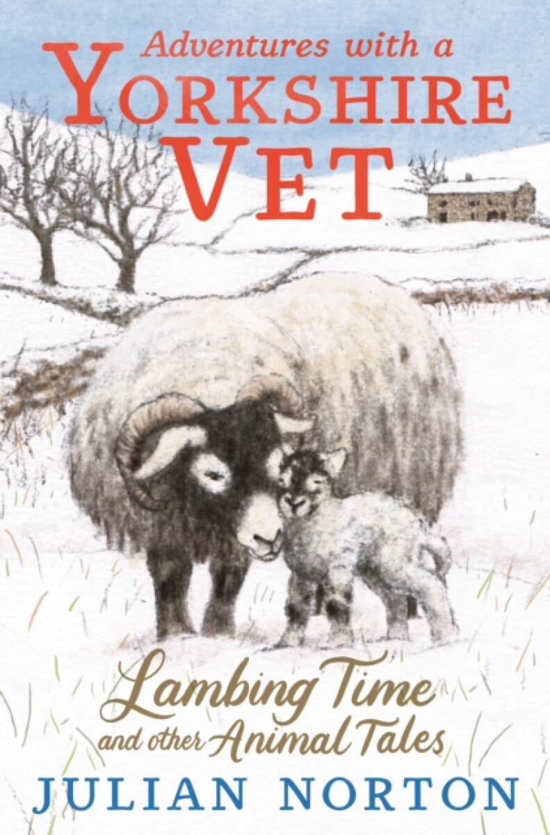 Kniha Adventures with a Yorkshire Vet: Lambing Time and Other Animal Tales