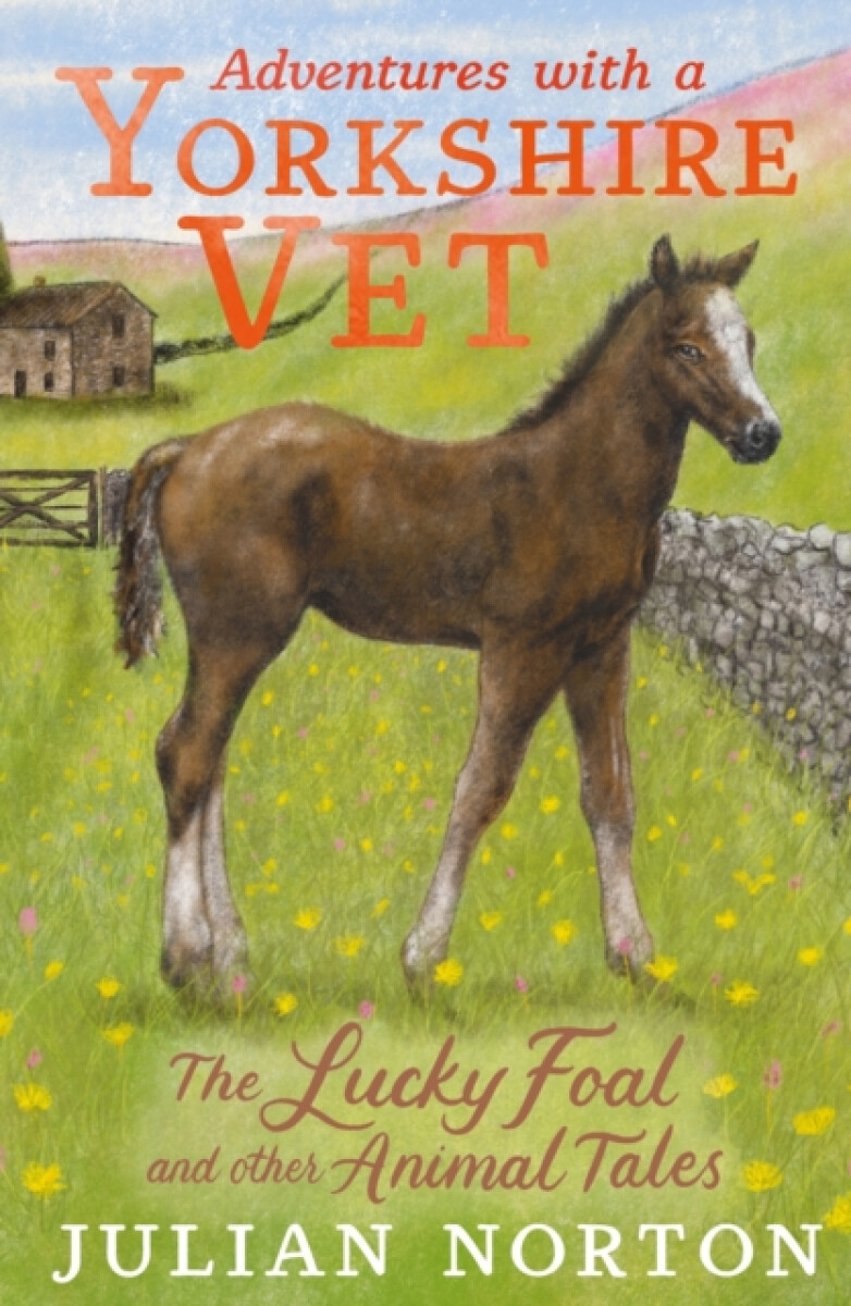 Kniha Adventures with a Yorkshire Vet: The Lucky Foal and Other Animal Tales