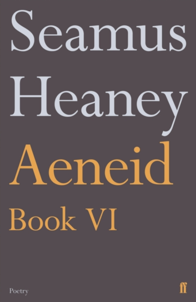 Kniha Aeneid Book VI