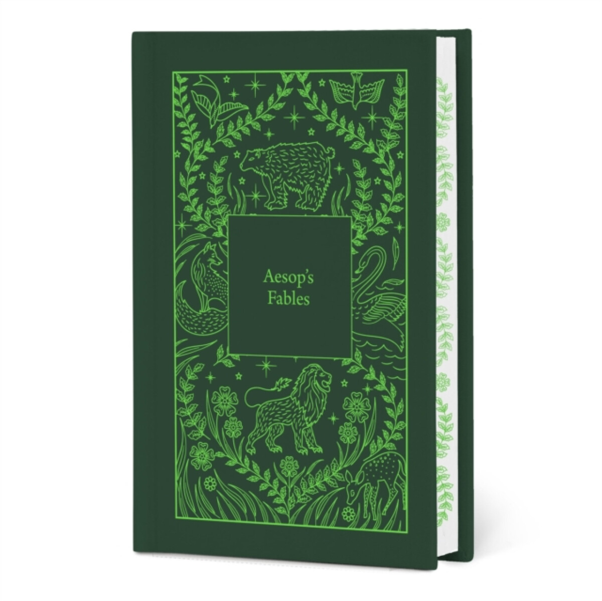 Kniha Aesop's Fables