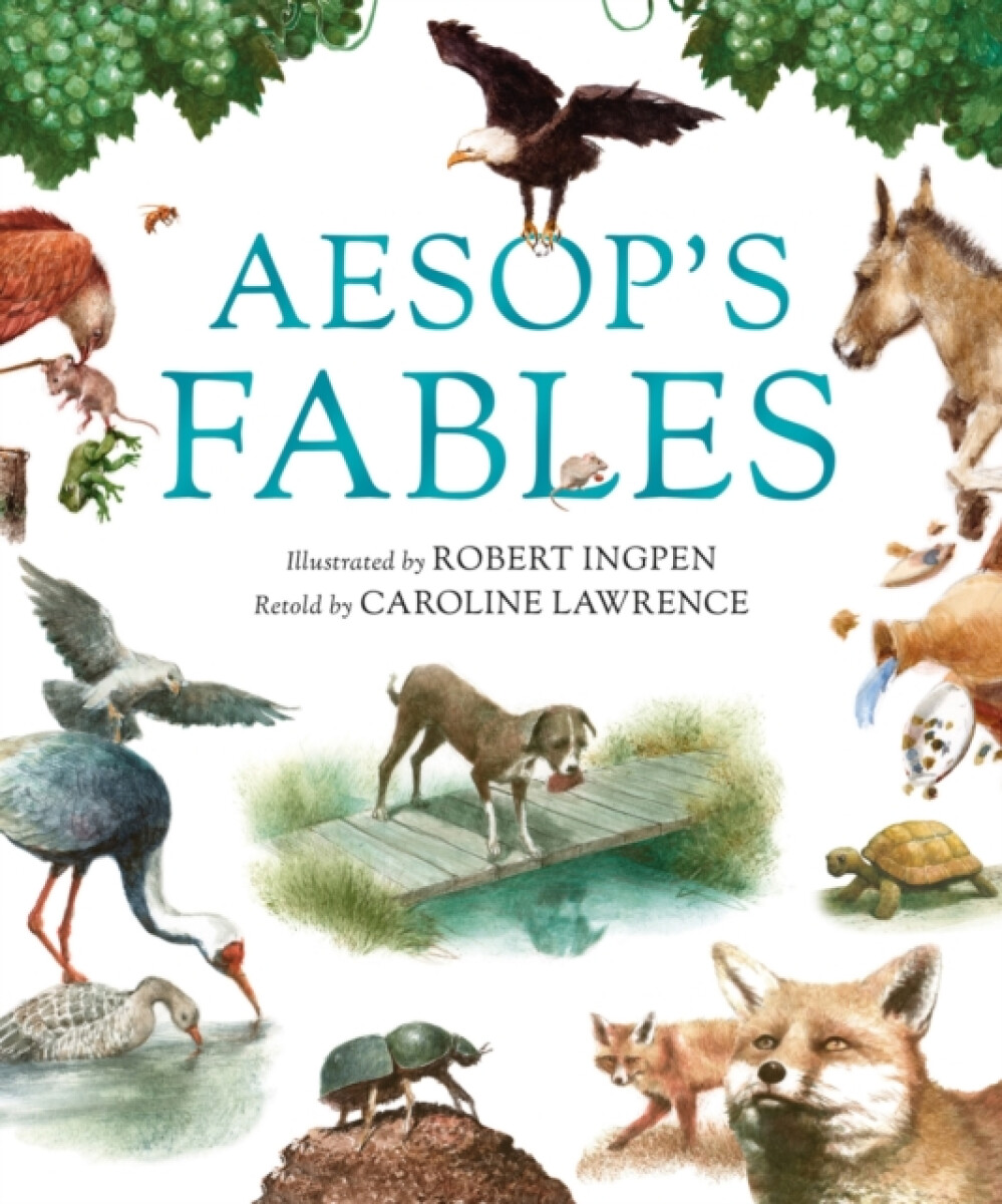 Kniha Aesop's Fables