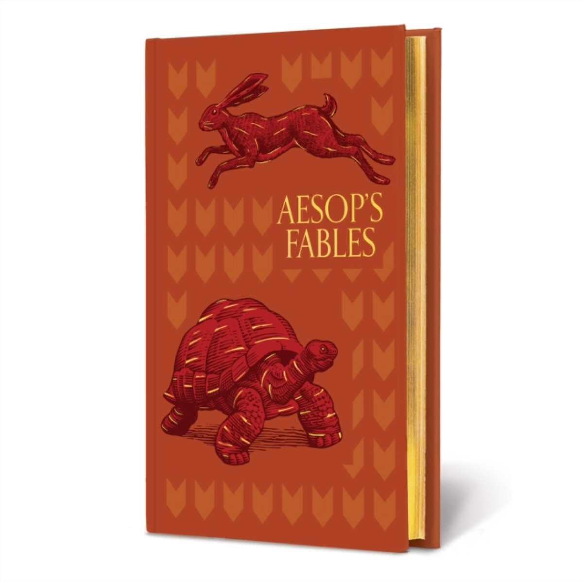 Kniha AesopÂ’s Fables (Special Edition)