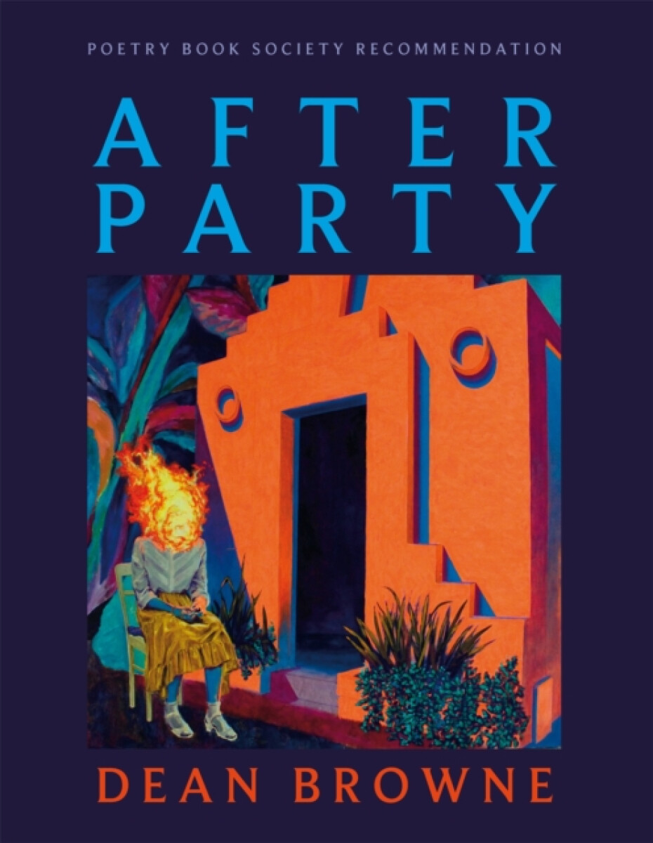 Kniha After Party