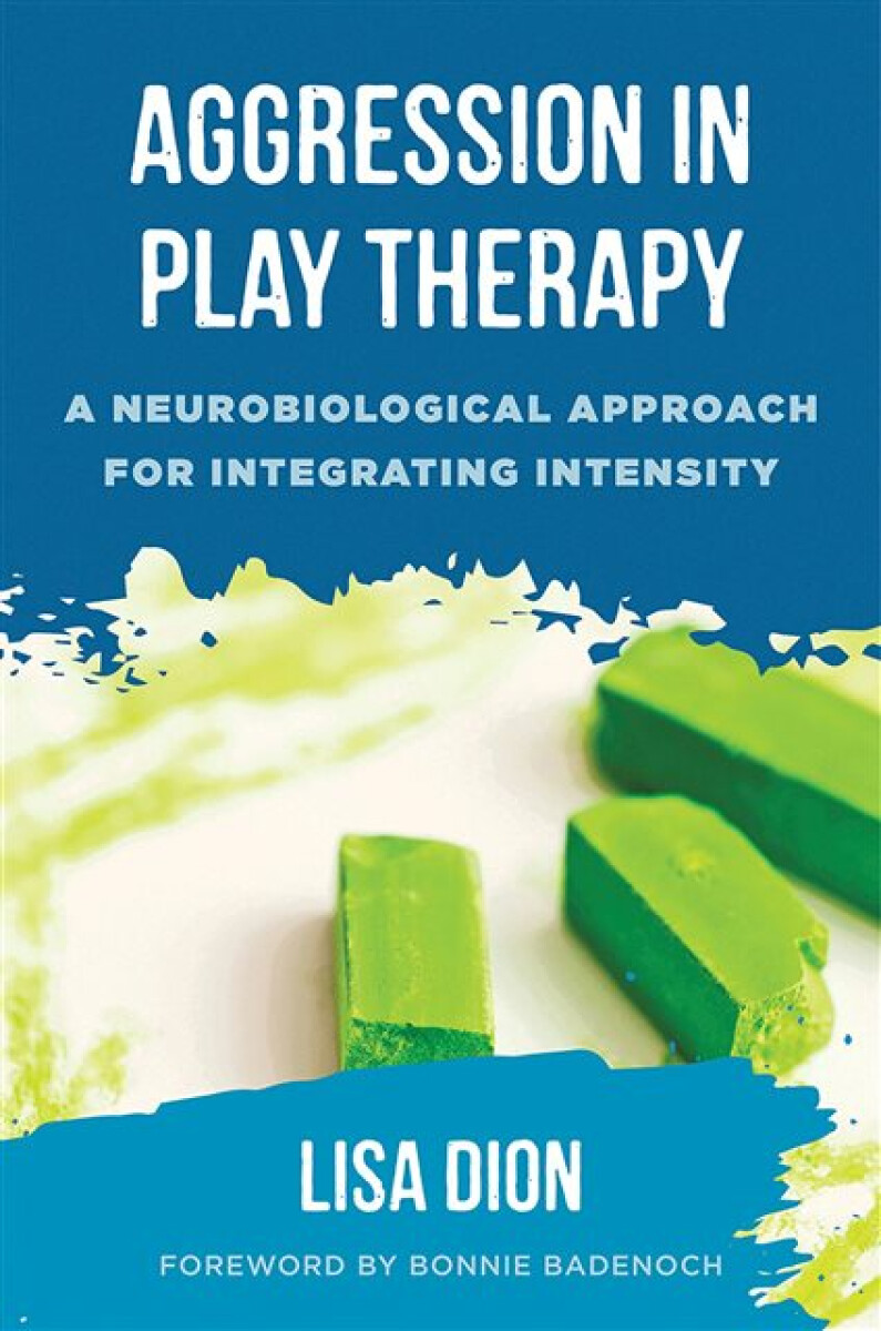 Kniha Aggression in Play Therapy