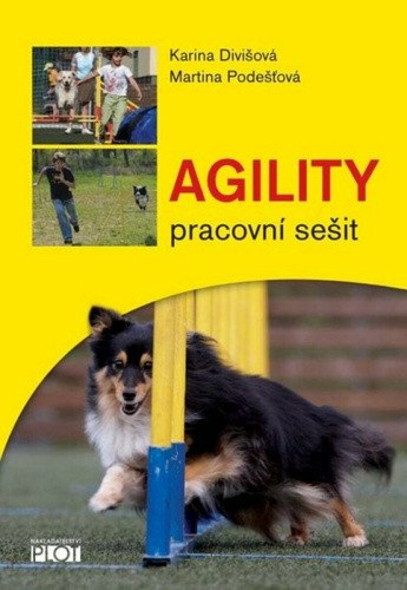 Kniha Agility