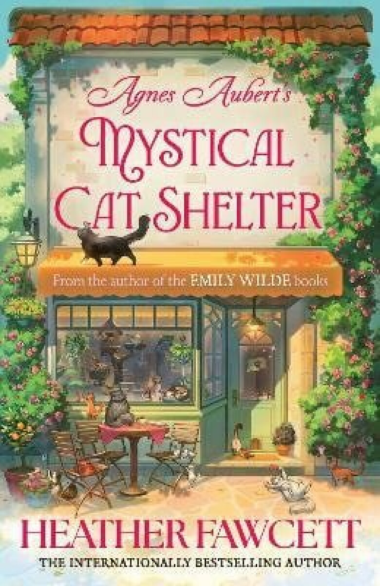 Kniha Agnes Aubert´s Mystical Cat Shelter