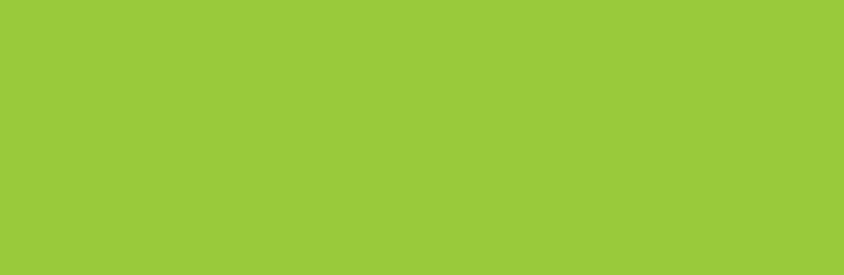 Akryl Amsterdam St. 250 ml - 243 Greenish Yellow