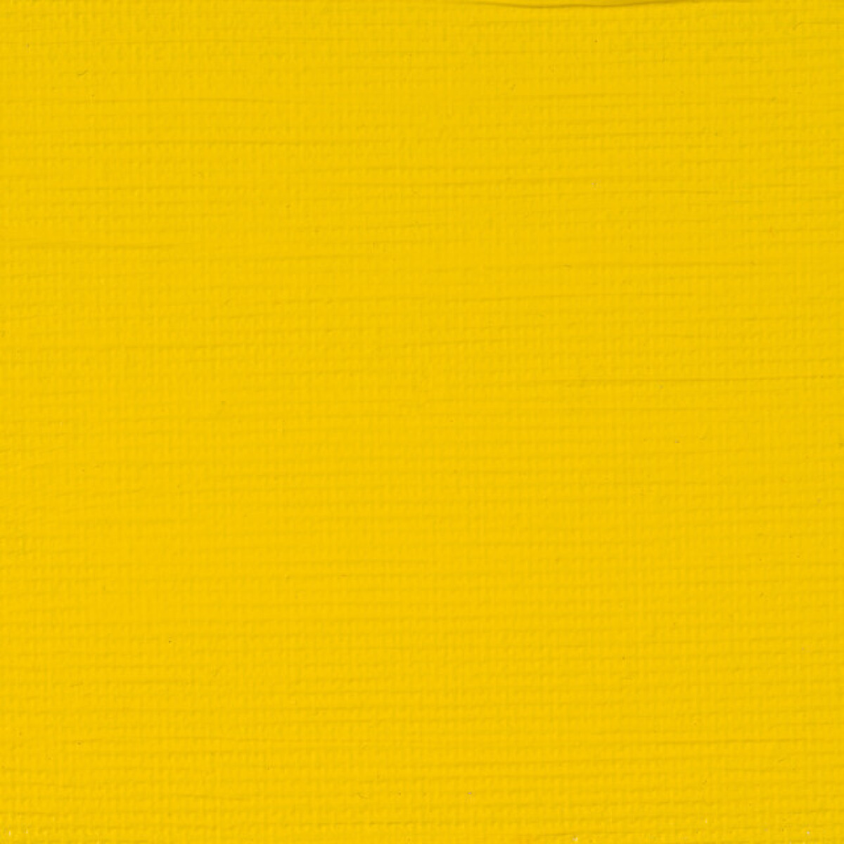 Akryl Rembrandt 40ml - 208 Cadm. Yellow LT