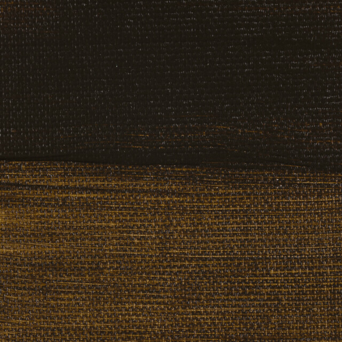 Akryl Rembrandt 40ml - 408 Raw Umber