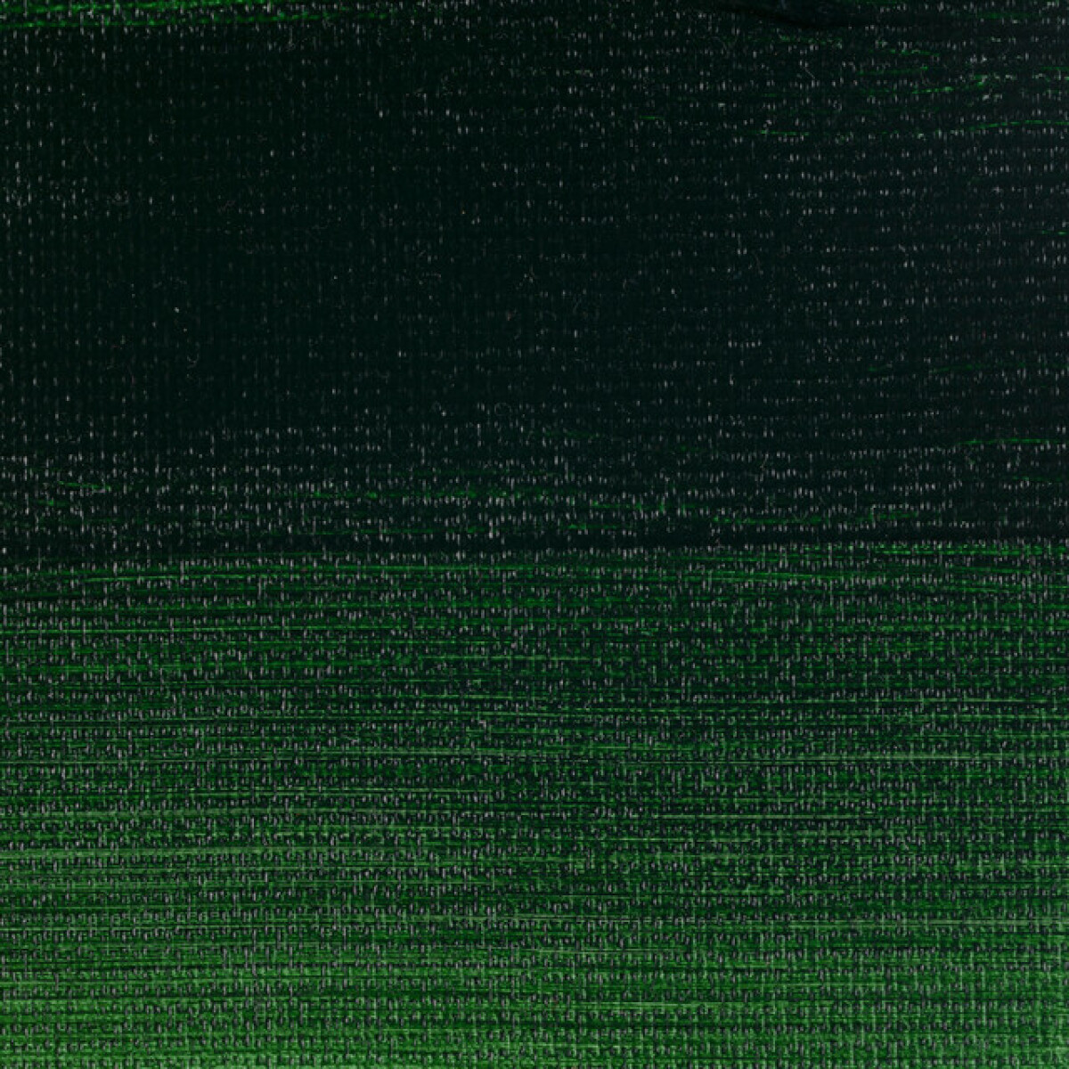 Akryl Rembrandt 40ml - 623 Sap Green