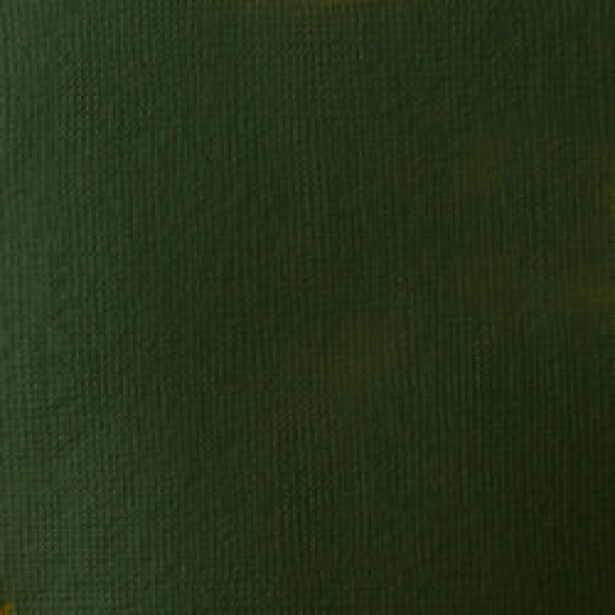 Akrylová barva Basics 118ml – 224 hookers green hue permanent