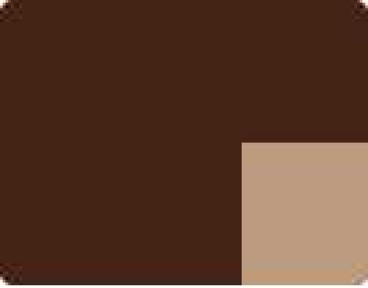 Akrylová barva Lefranc 200ml – 354 Burnt Umber