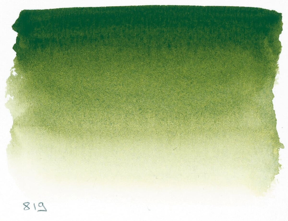 Akvarelová barva Sennelier 1/2 – 819 Sap Green