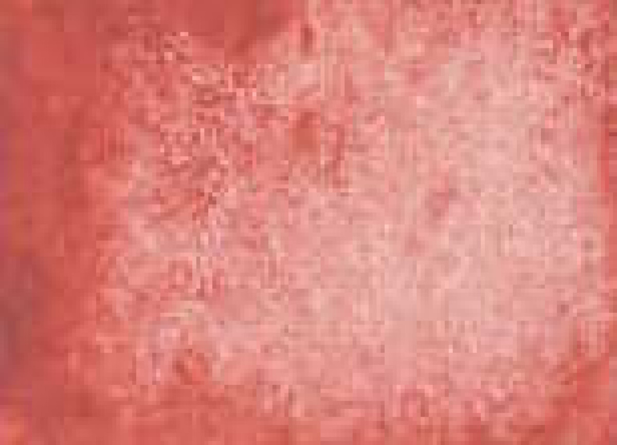 Akvarelová barva DS 15ml – 122 Italian Venetian Red