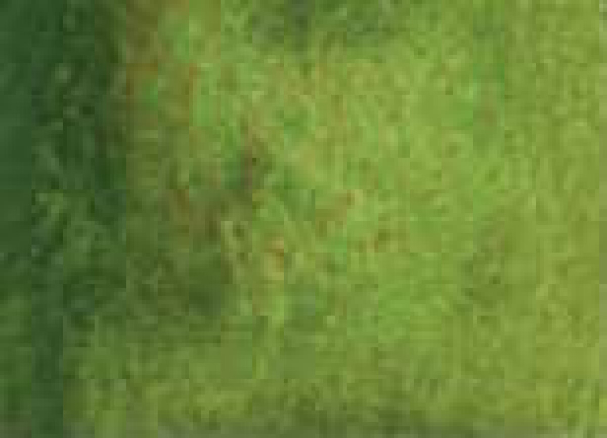 Akvarelová barva DS 15ml – 190 Serpentine Genuine