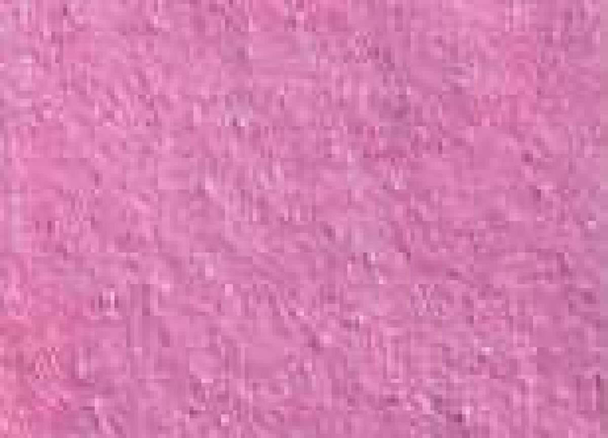 Akvarelová barva DS 15ml – 4031 Duochrome Hibiscus