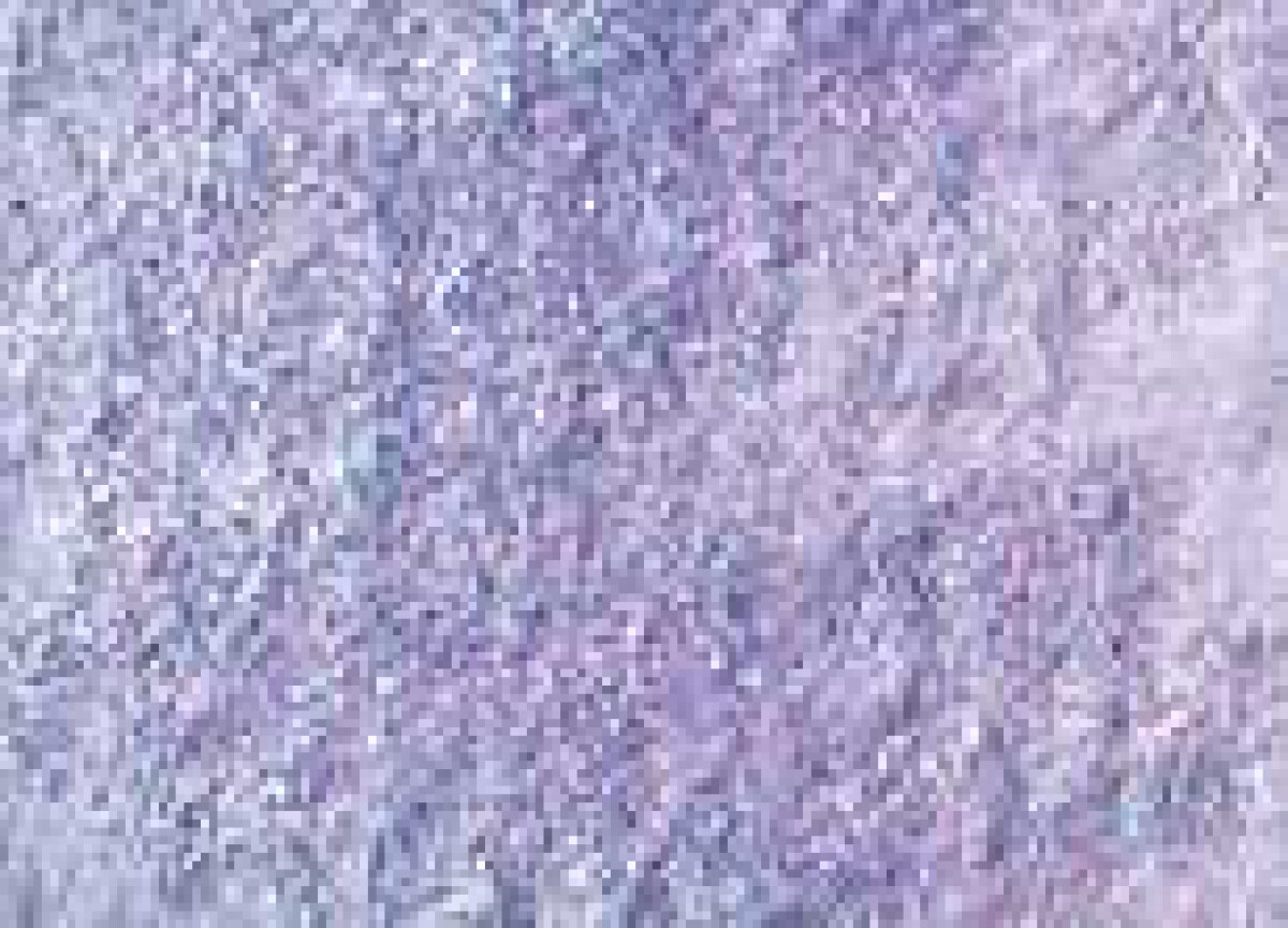 Akvarelová barva DS 15ml – 4041 Duochrome Violet Pearl