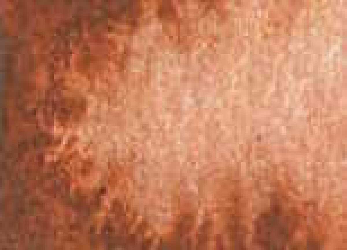 Levně Akvarelová barva DS 5ml – 010 Burnt Sienna