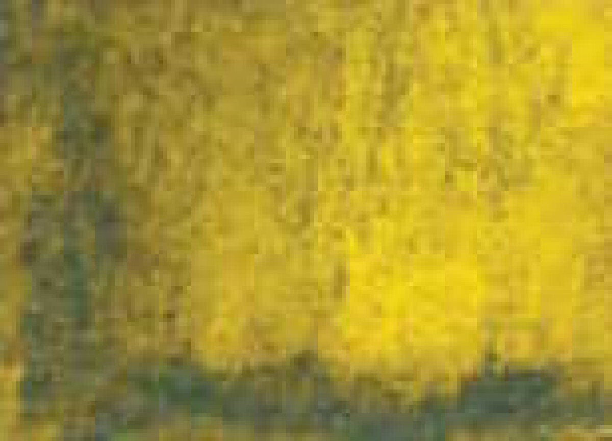 Akvarelová barva DS 5ml – 099 Rich Green Gold