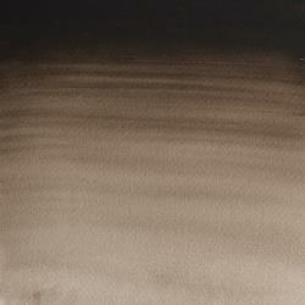 Akvarelová barva W&N 1/2 – 609 Sepia