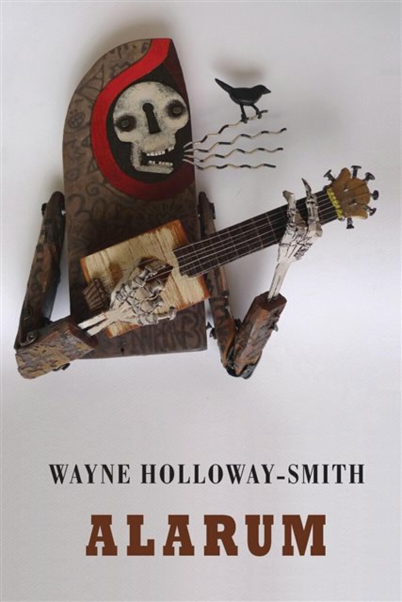 Kniha Alarum
