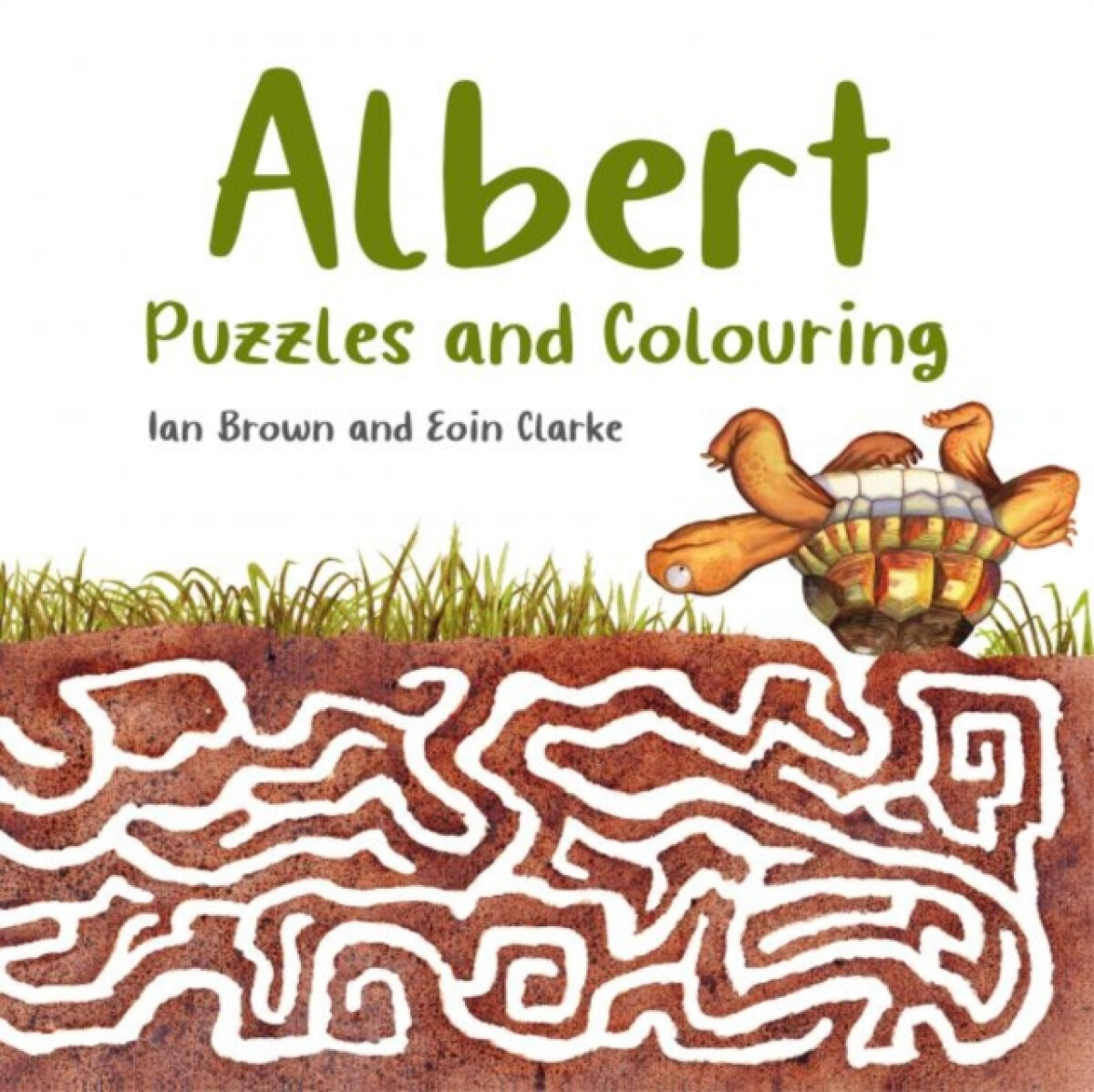 Kniha Albert Puzzles and Colouring