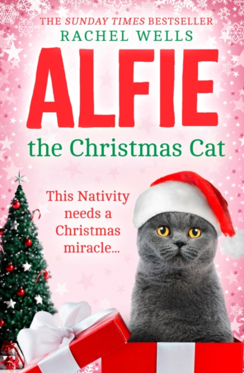 Kniha Alfie the Christmas Cat