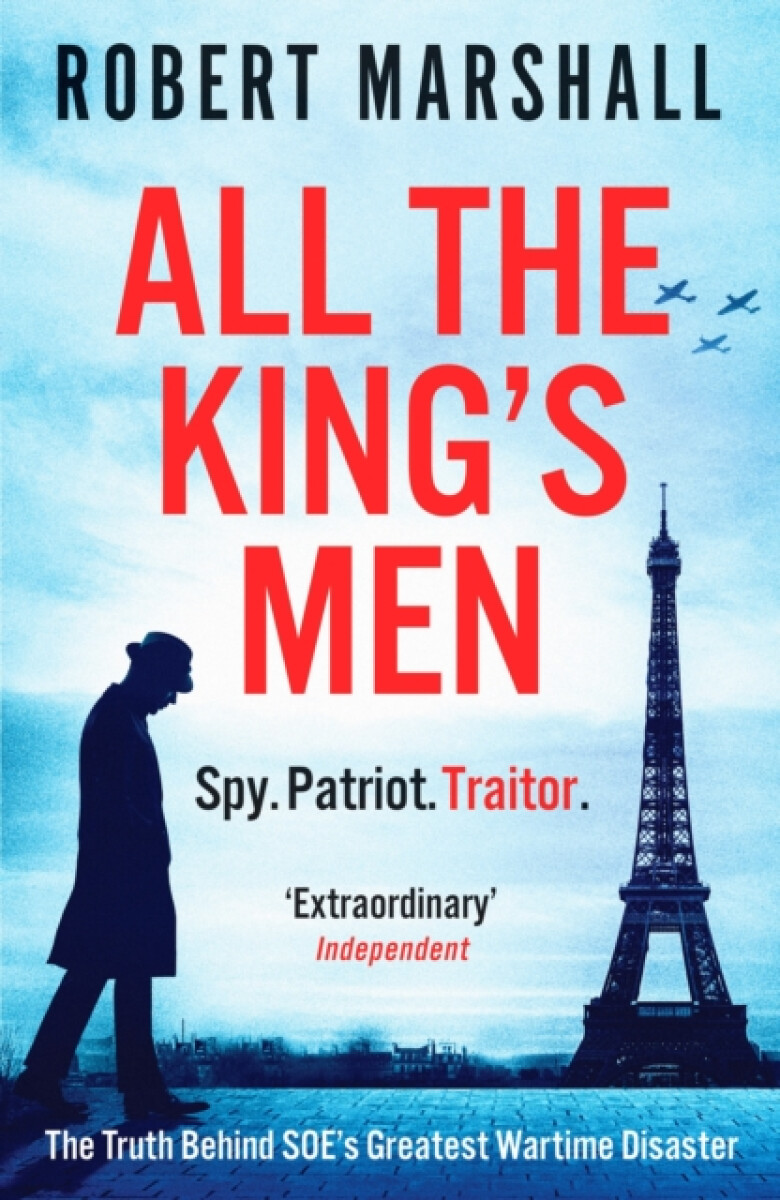 Kniha All the King's Men