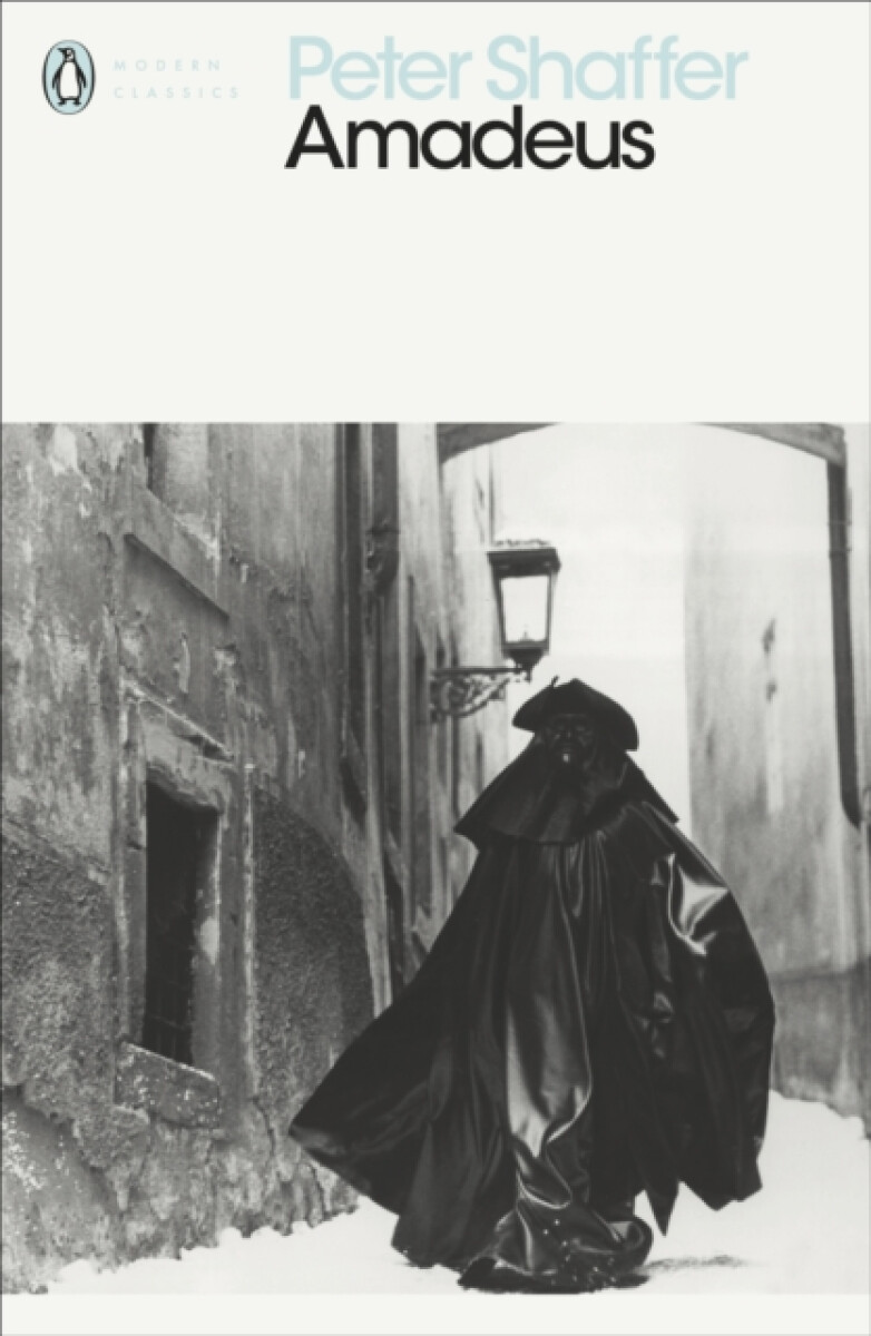 Kniha Amadeus