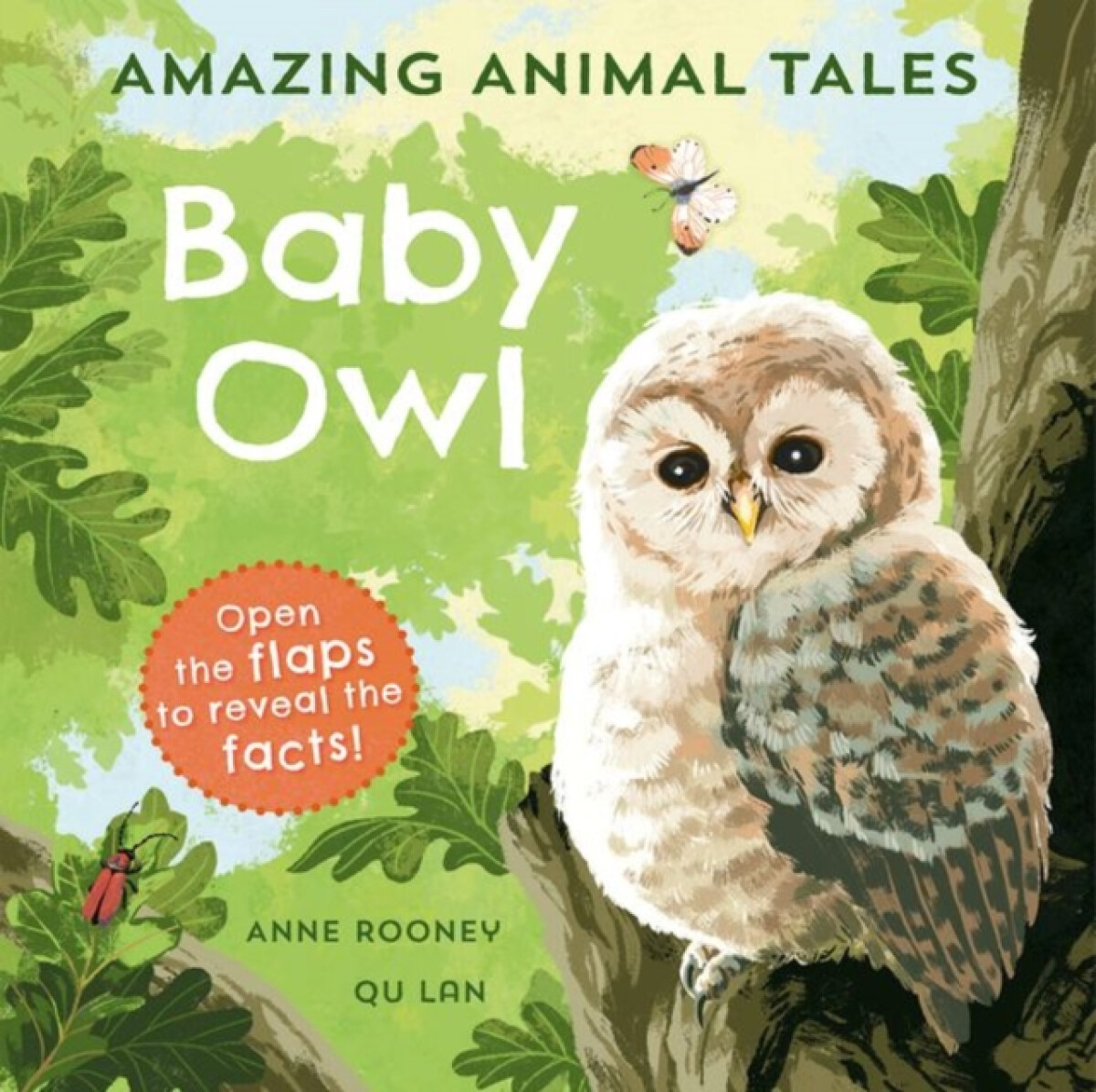 Kniha Amazing Animal Tales: Baby Owl