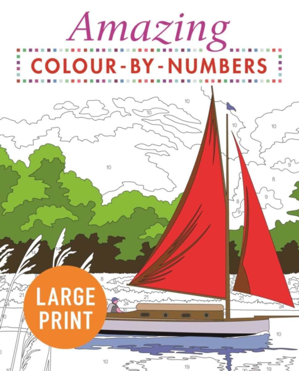 Kniha Amazing Colour-by-Numbers Large Print