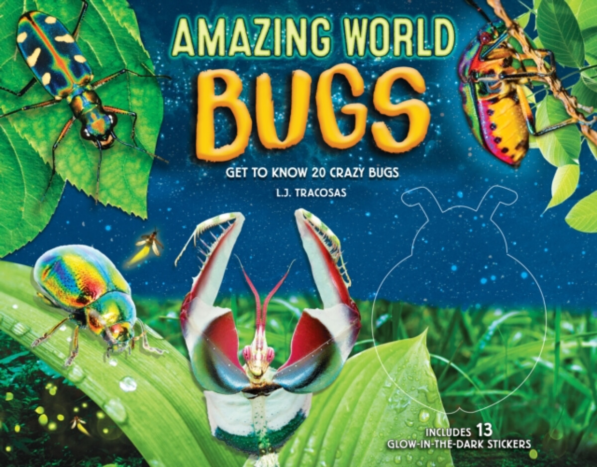 Kniha Amazing World: Bugs