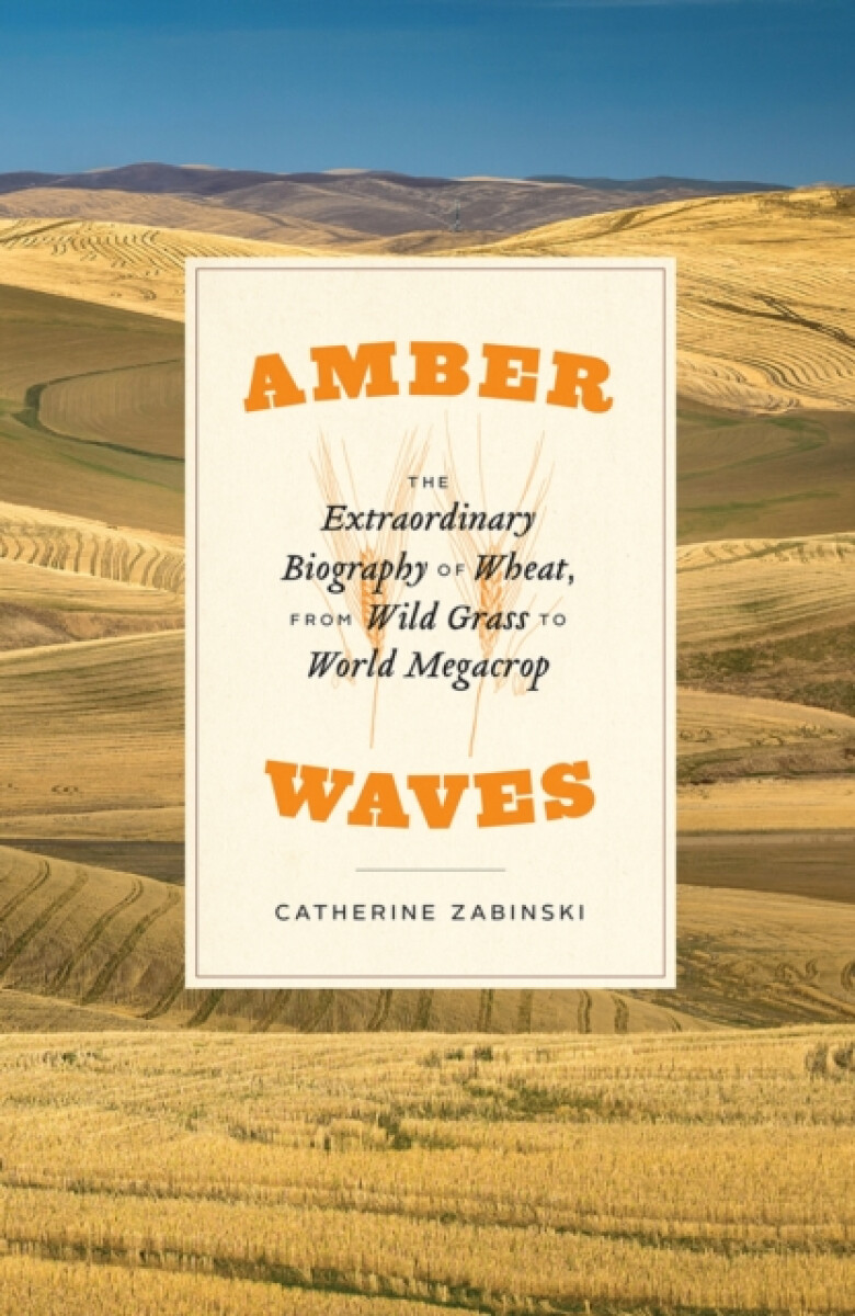 Kniha Amber Waves
