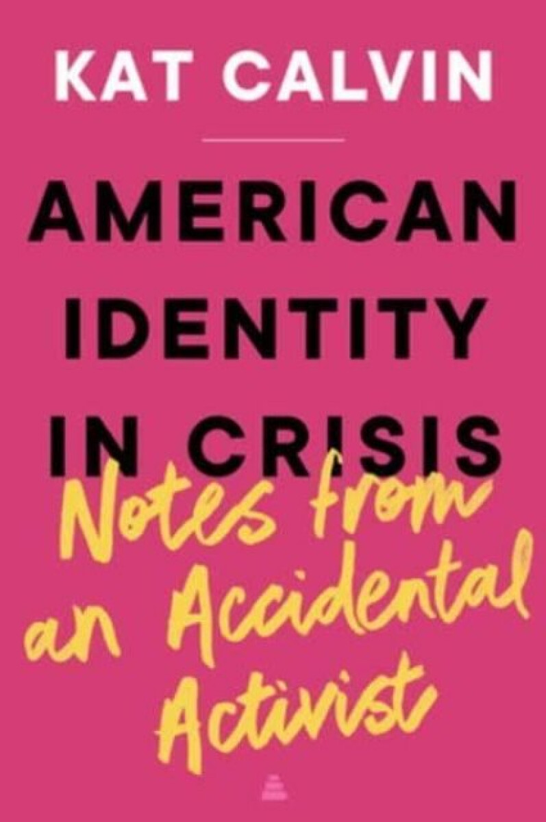 Kniha American Identity in Crisis: Notes from an Accidental Activist