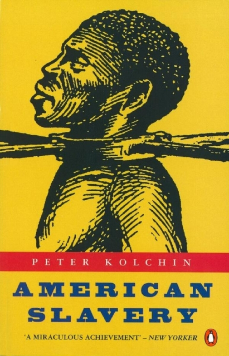 Kniha American Slavery
