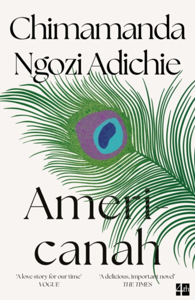 Kniha Americanah