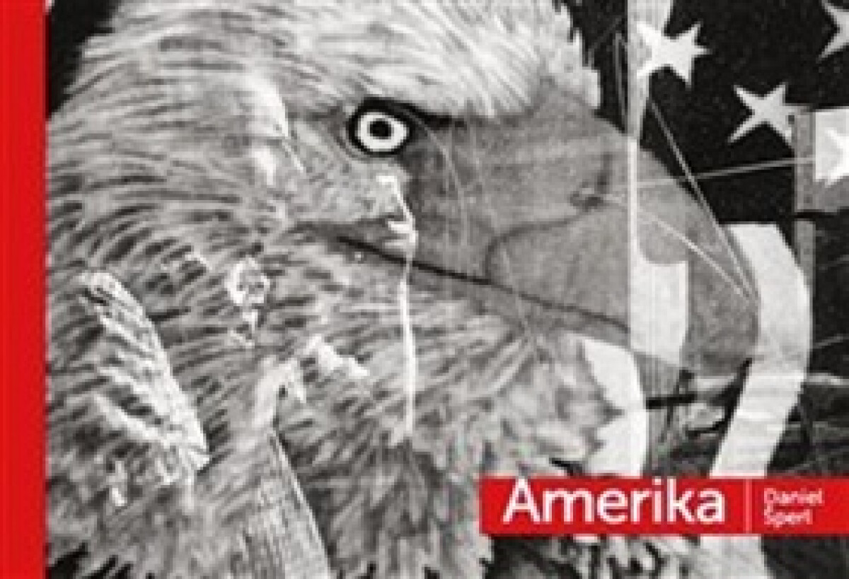 Kniha Amerika