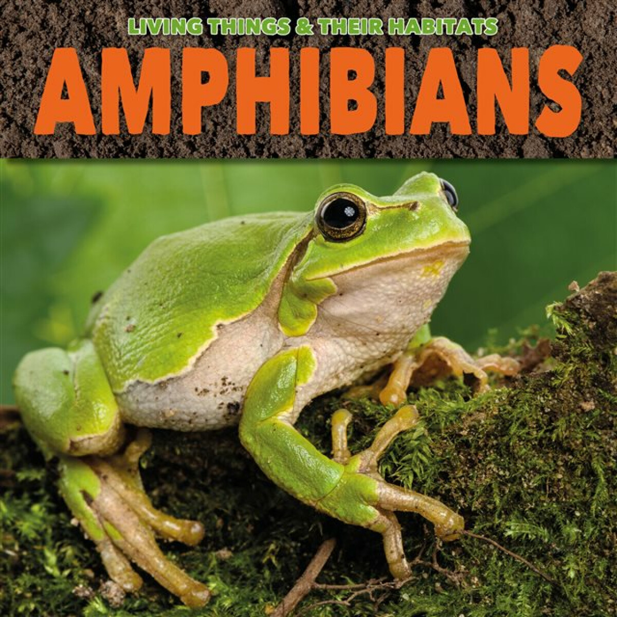 Kniha Amphibians