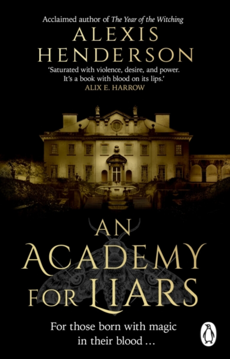 Kniha An Academy for Liars