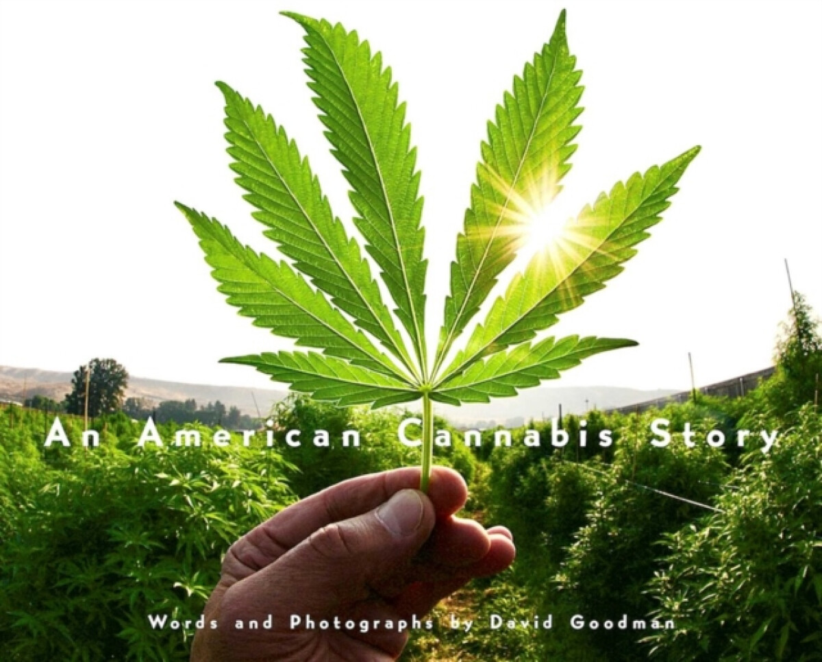 Kniha American Cannabis Story