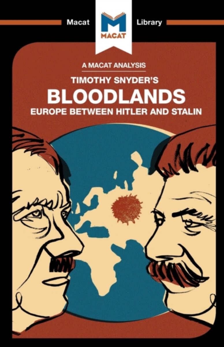 Kniha An Analysis of Timothy Snyder's Bloodlands