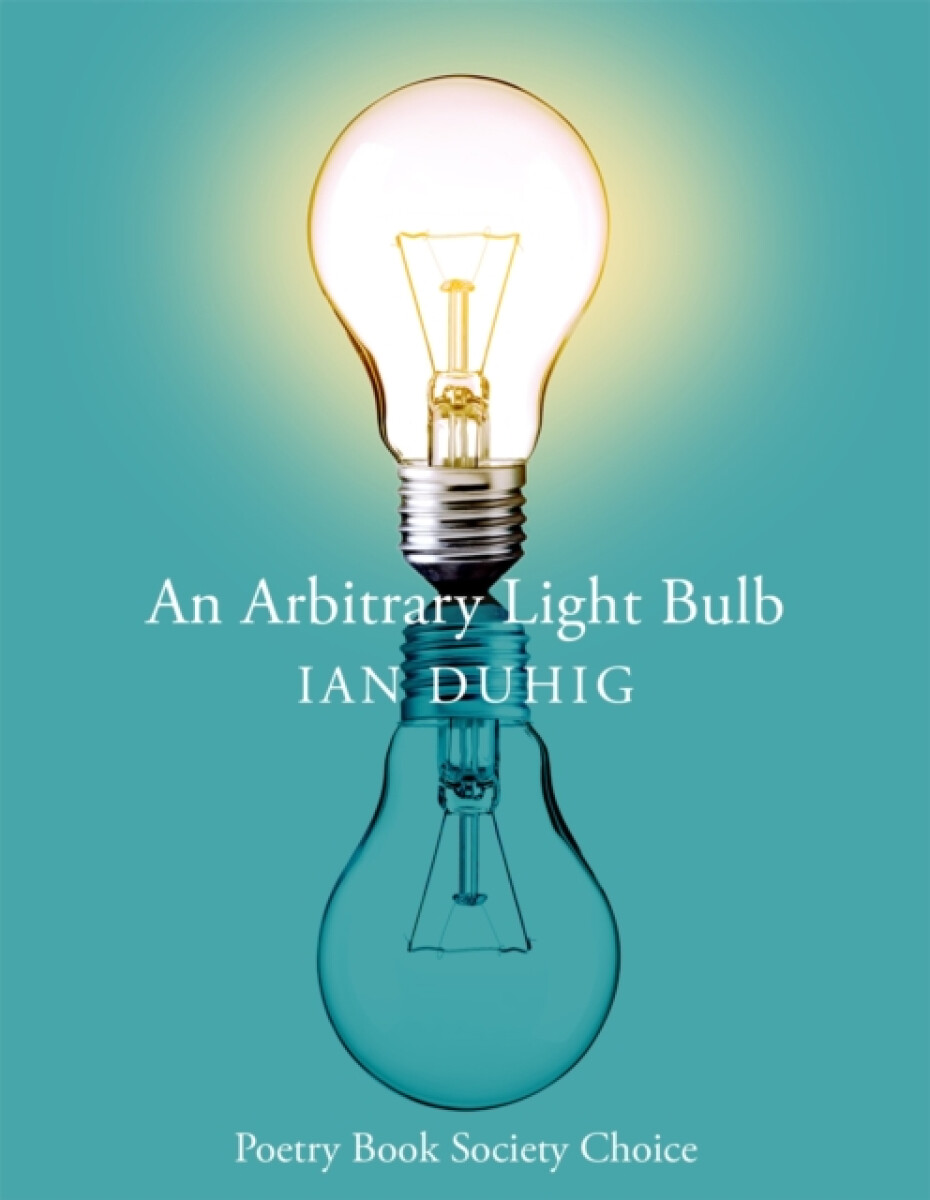Kniha Arbitrary Lightbulb