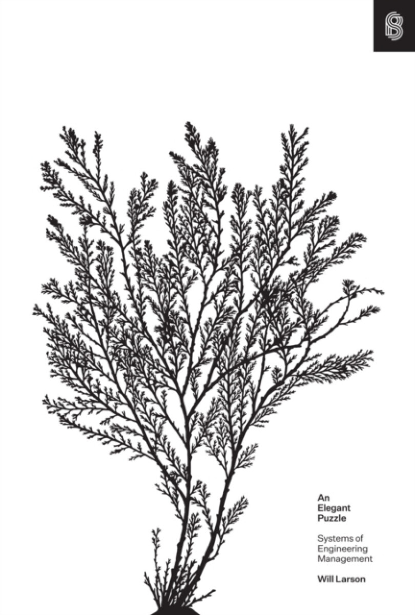 Kniha Elegant Puzzle