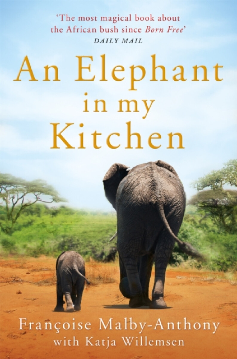 Kniha Elephant in My Kitchen